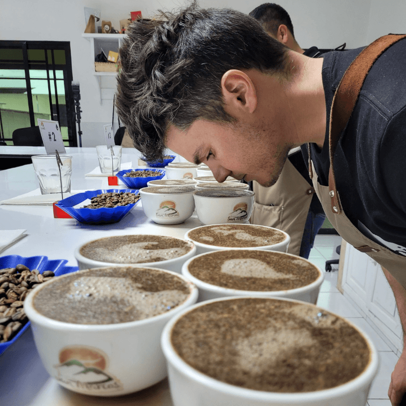 cupping dégustation café paul arnephy honduras