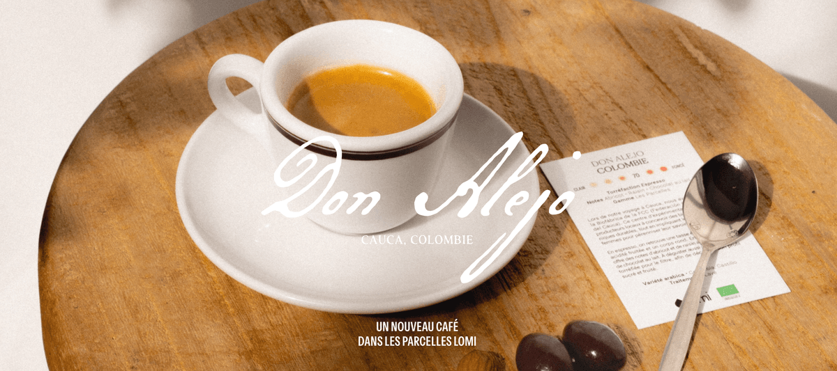 Café Lomi, photo 3