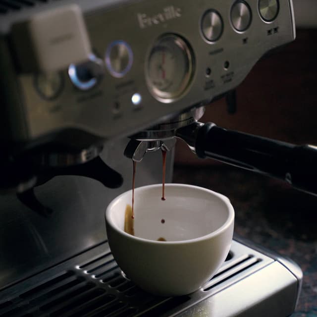 série étiquettes crèmes à café krd bn32683 dinosaures série étiquettes crèmes à café krd bn32683 dinosaures